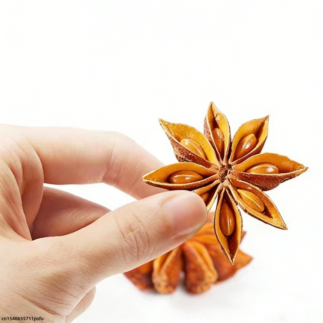 Premium Star Anise Dried Flowe - Candle Fragrance Supplies avaliação e preço